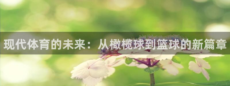 现代体育的未来：从橄榄球到篮球的新篇章