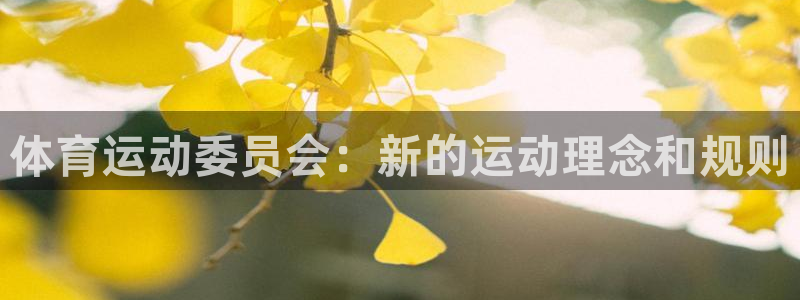 体育运动委员会：新的运动理念和规则