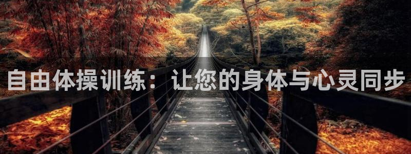自由体操训练：让您的身体与心灵同步