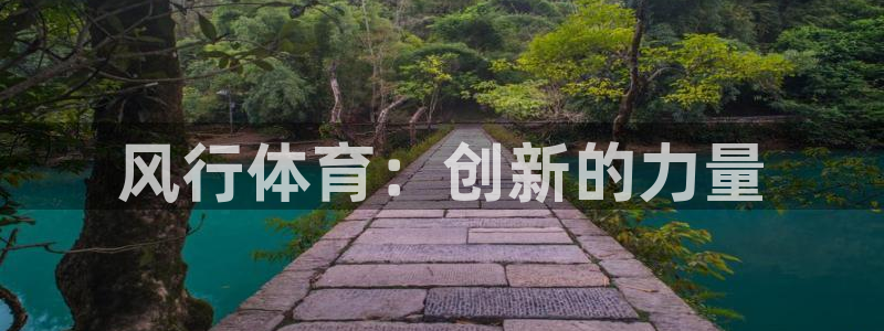 风行体育：创新的力量