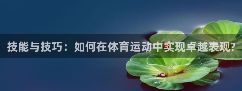 技能与技巧：如何在体育运动中实现卓越表现?