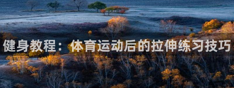 健身教程：体育运动后的拉伸练习技巧