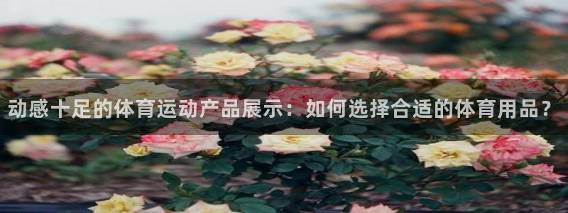 动感十足的体育运动产品展示：如何选择合适的体育用品？