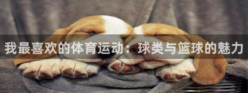 我最喜欢的体育运动：球类与篮球的魅力